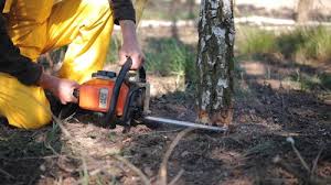 Best Lawn Pest Prevention  in Waynesboro, GA