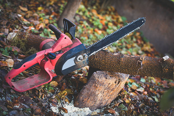 Mulching Services in Waynesboro, GA
